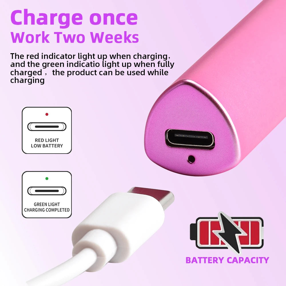 Mini Lampe Portable UV LED Rechargeable